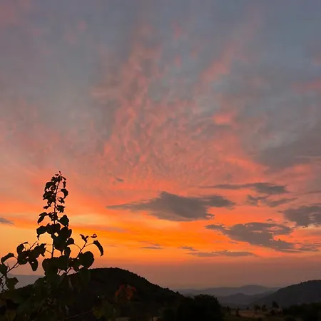 База отдыха Bujtina Kapinova Берат