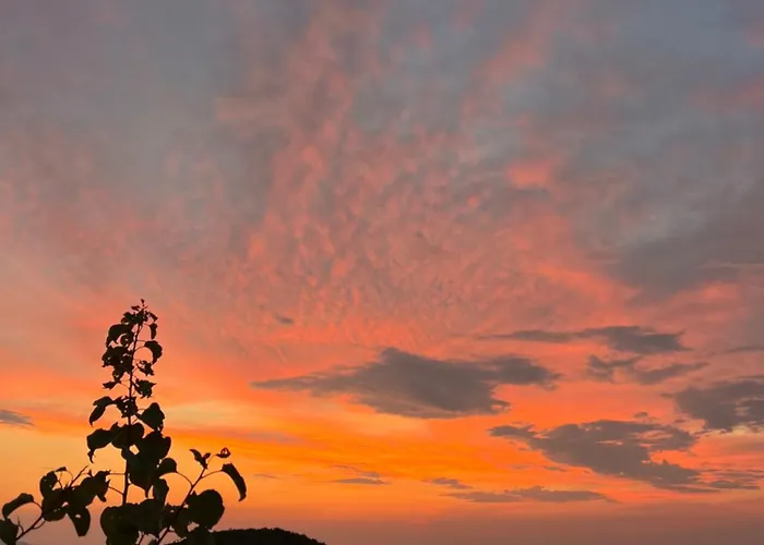 Parco vacanze Bujtina Kapinova Berat